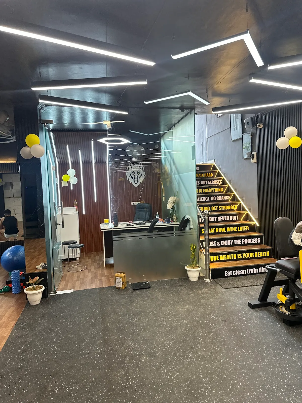 ALPHA NATION GYM - Dlf phase 2 photo 2