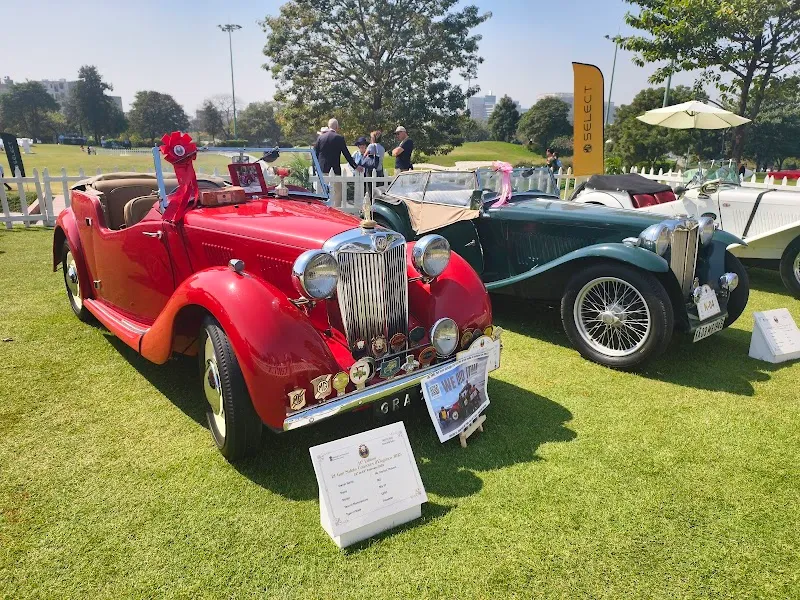 Ambience Golf Greens