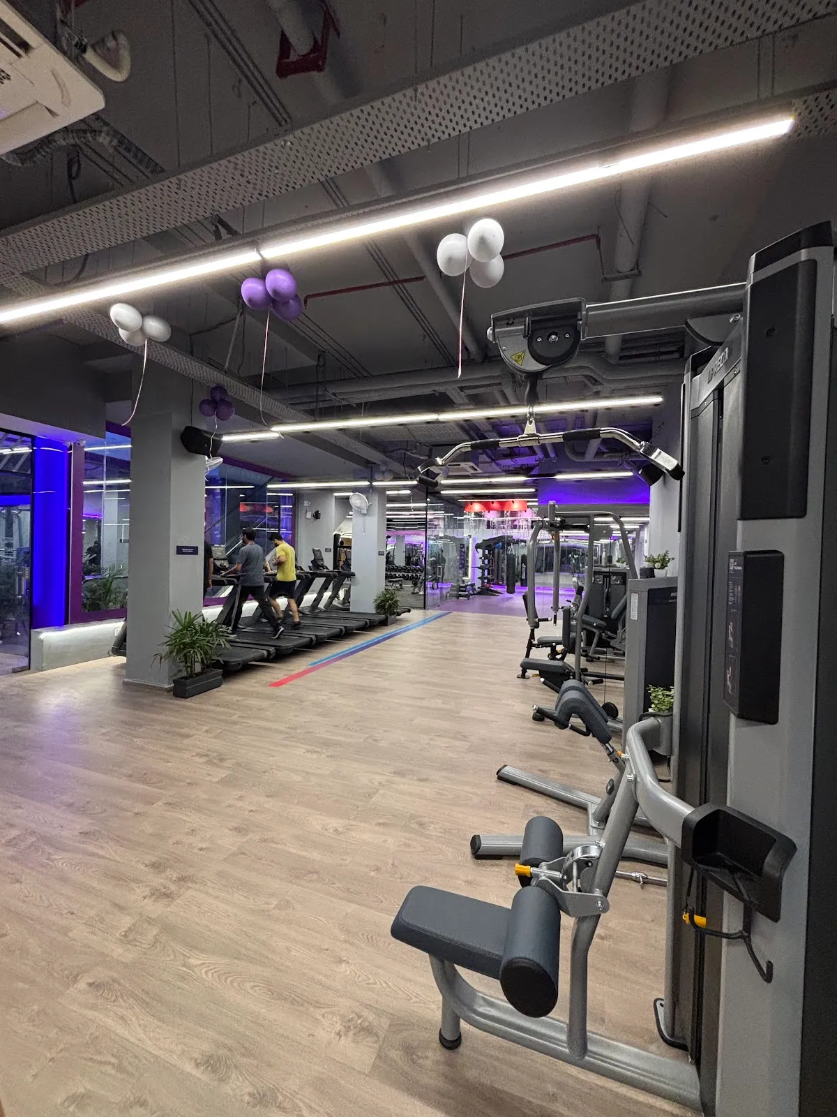 Anytime Fitness Gurugram Sec 56 photo 2