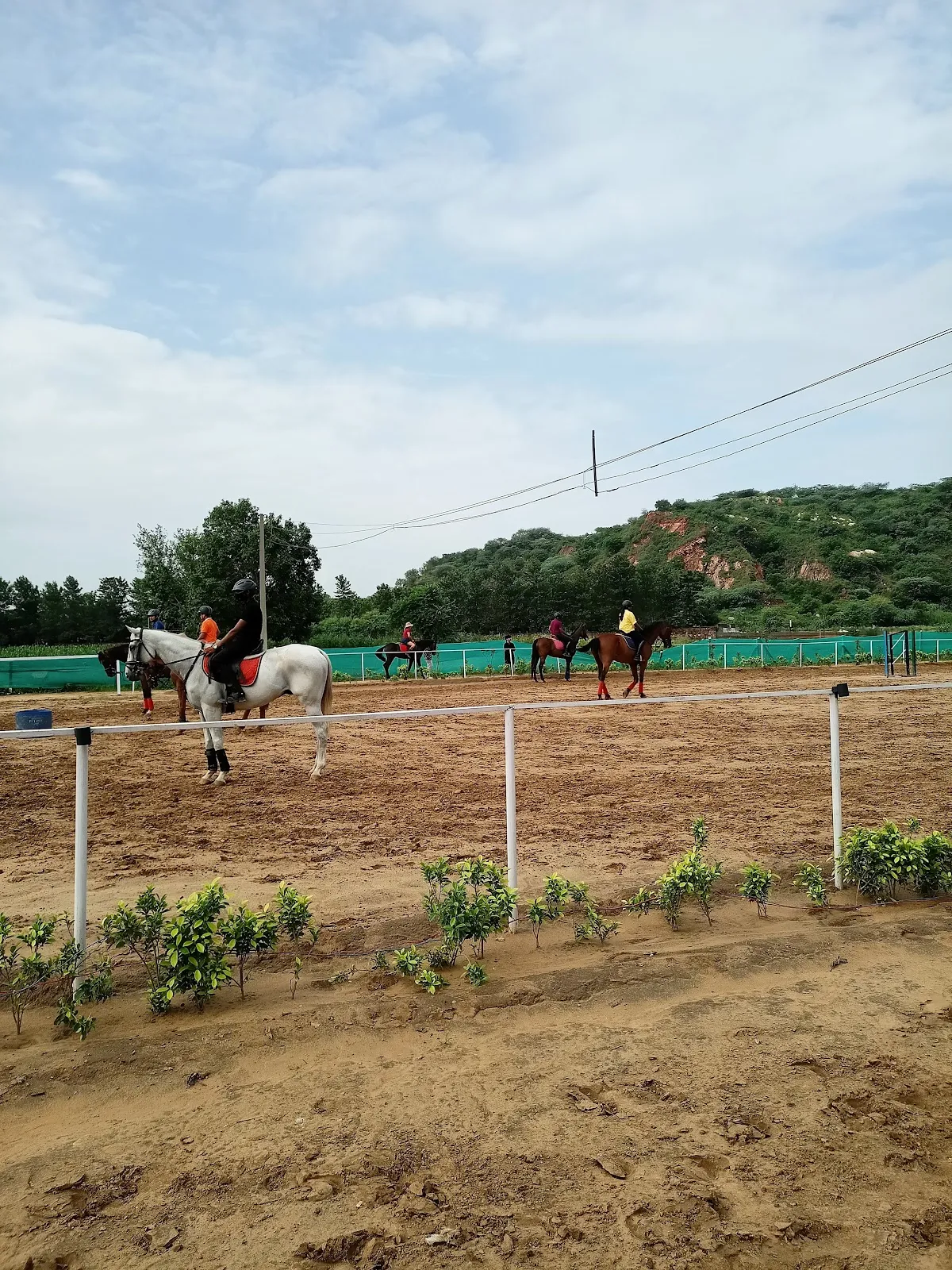Aravali Horse Riding Club photo 2