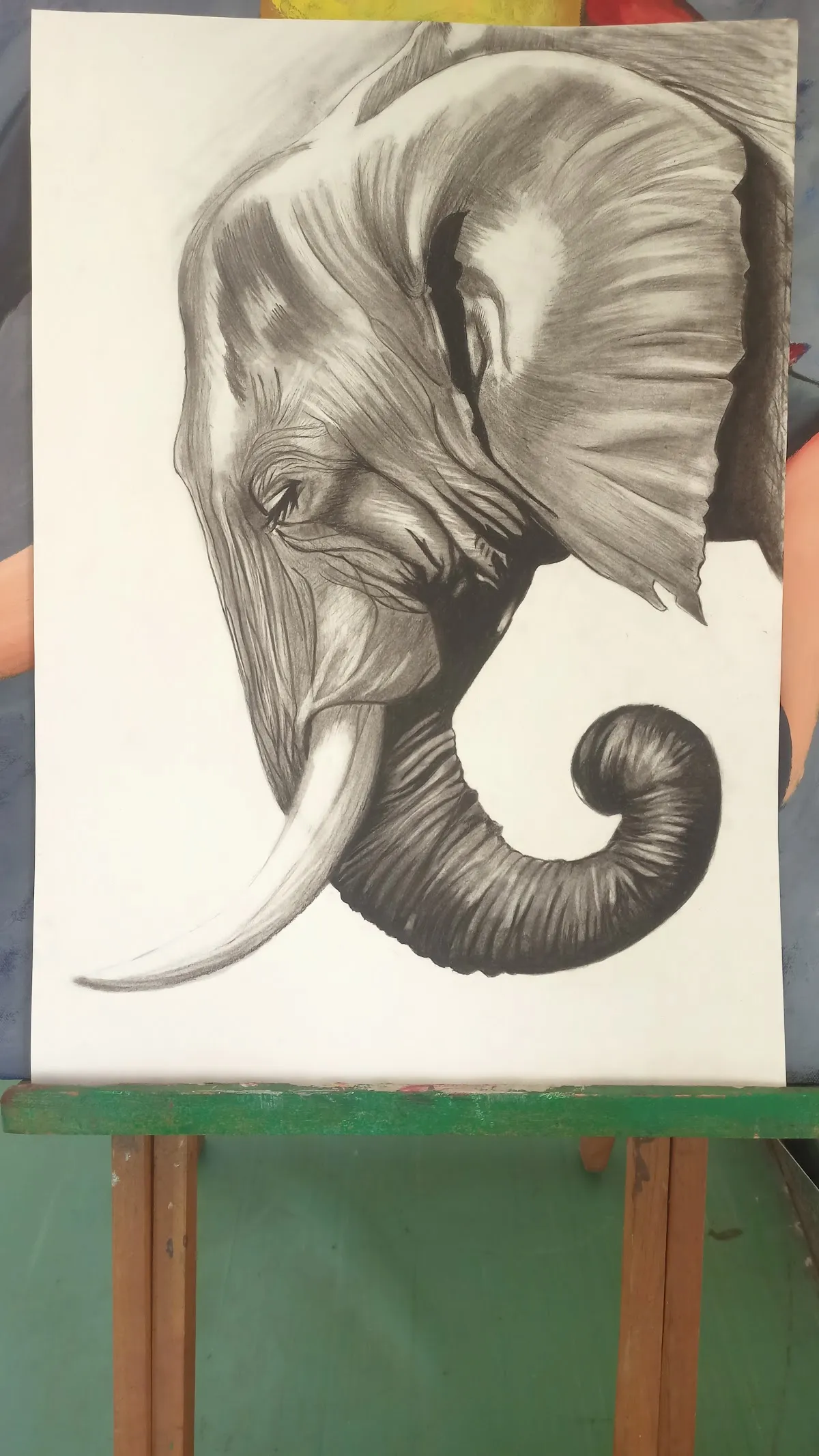 Art Avenue, Sketching and Drawing classes photo 3