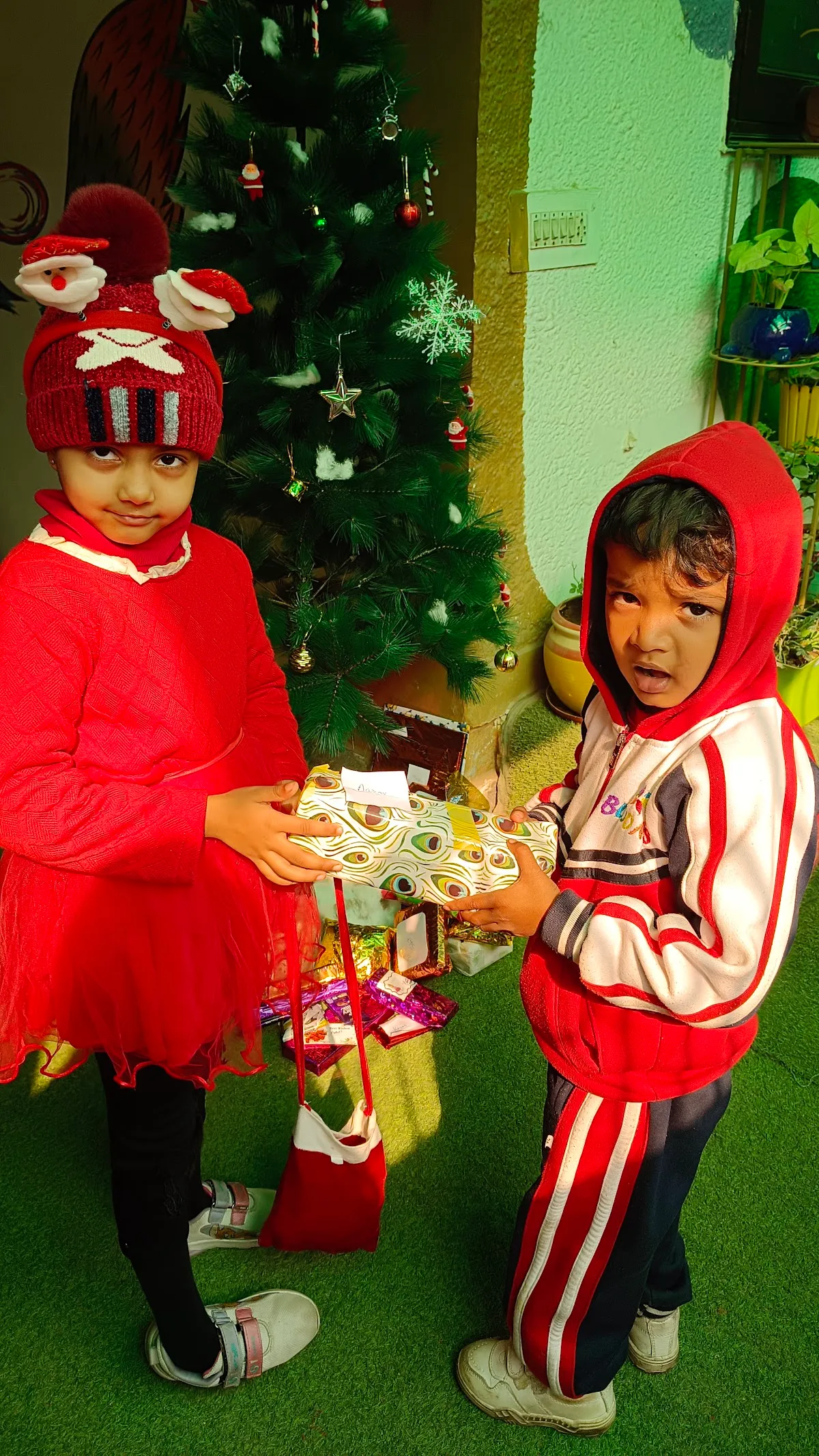 Blooms Early learning and kids daycare photo 3