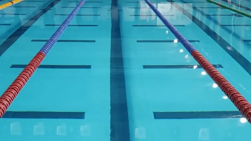 Bright Swimming Academy