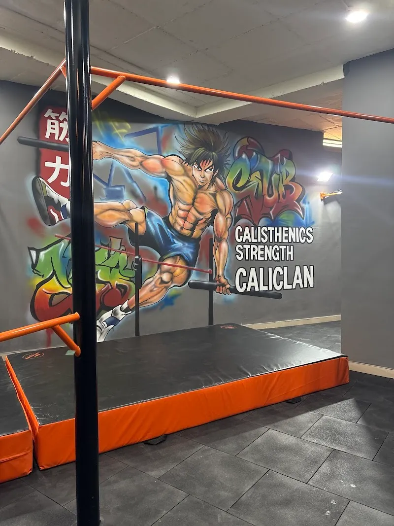 Caliclan Academy I DLF Branch