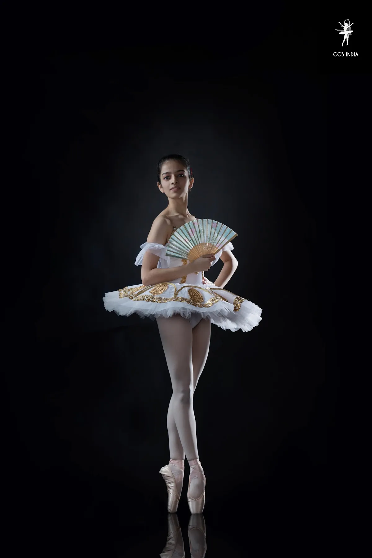 Central Contemporary Ballet photo 2
