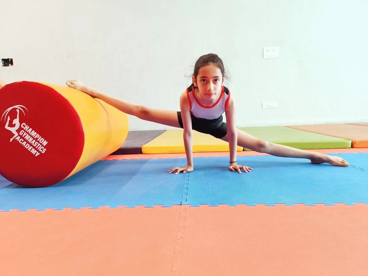 Champions Gymnastics Academy - Gymnastics Classes Center Gurgaon photo 2
