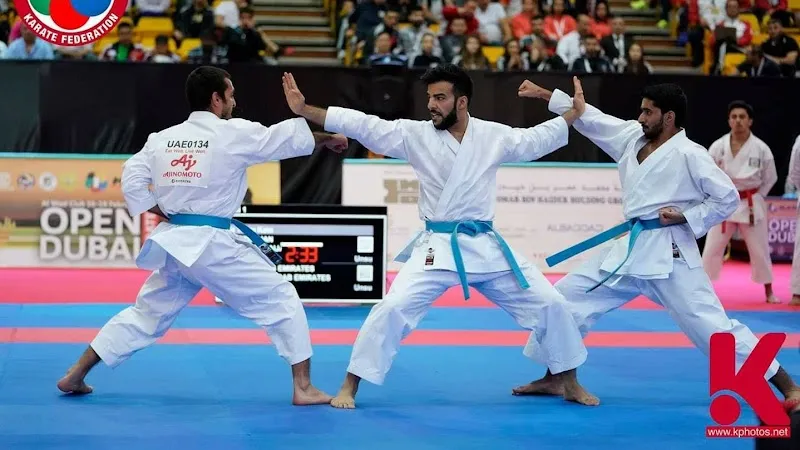 COMBAT MARTIAL ARTS - Karate Classes - Dance classes Gurgaon