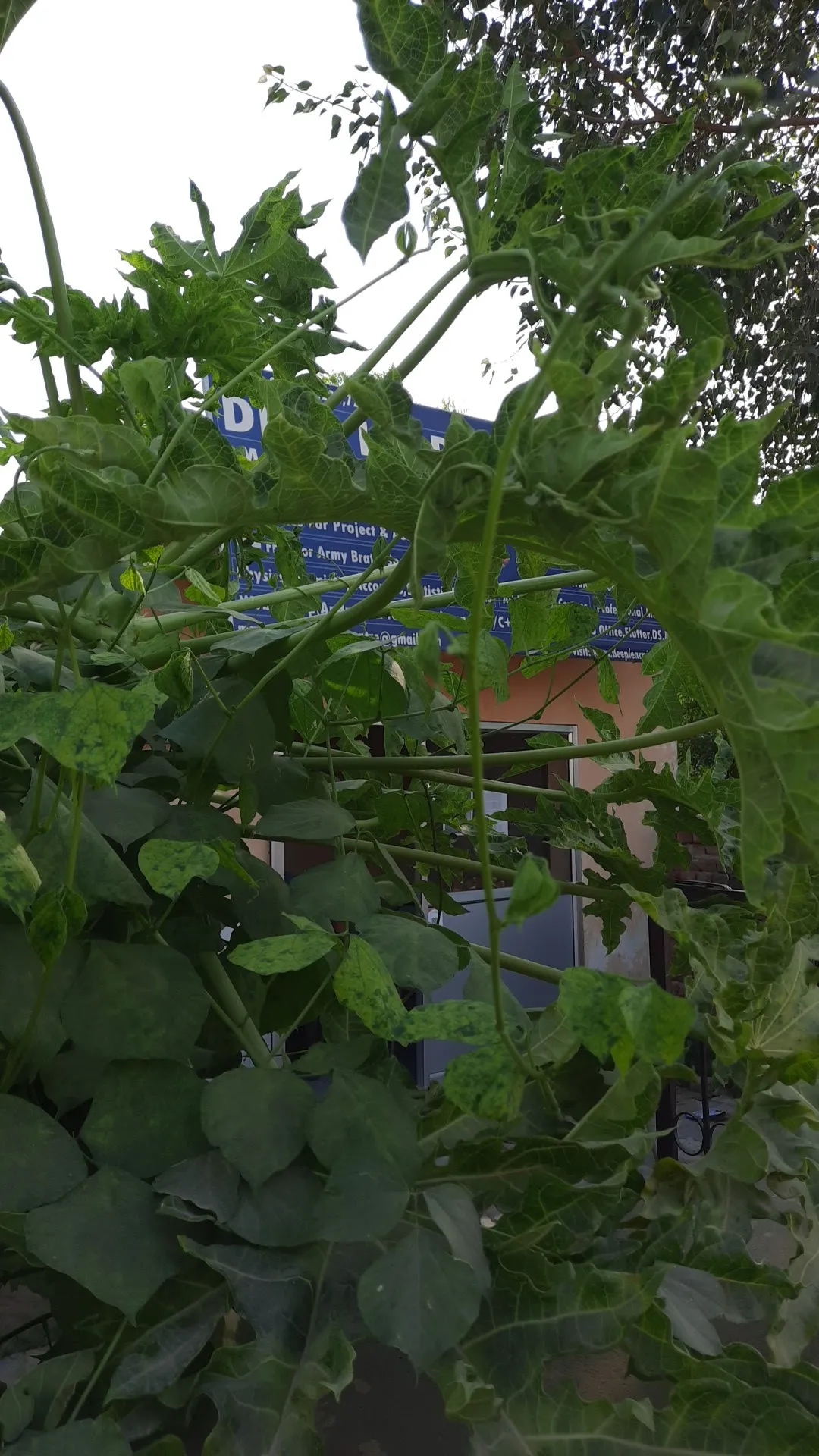 Deep Learning Centre photo 3