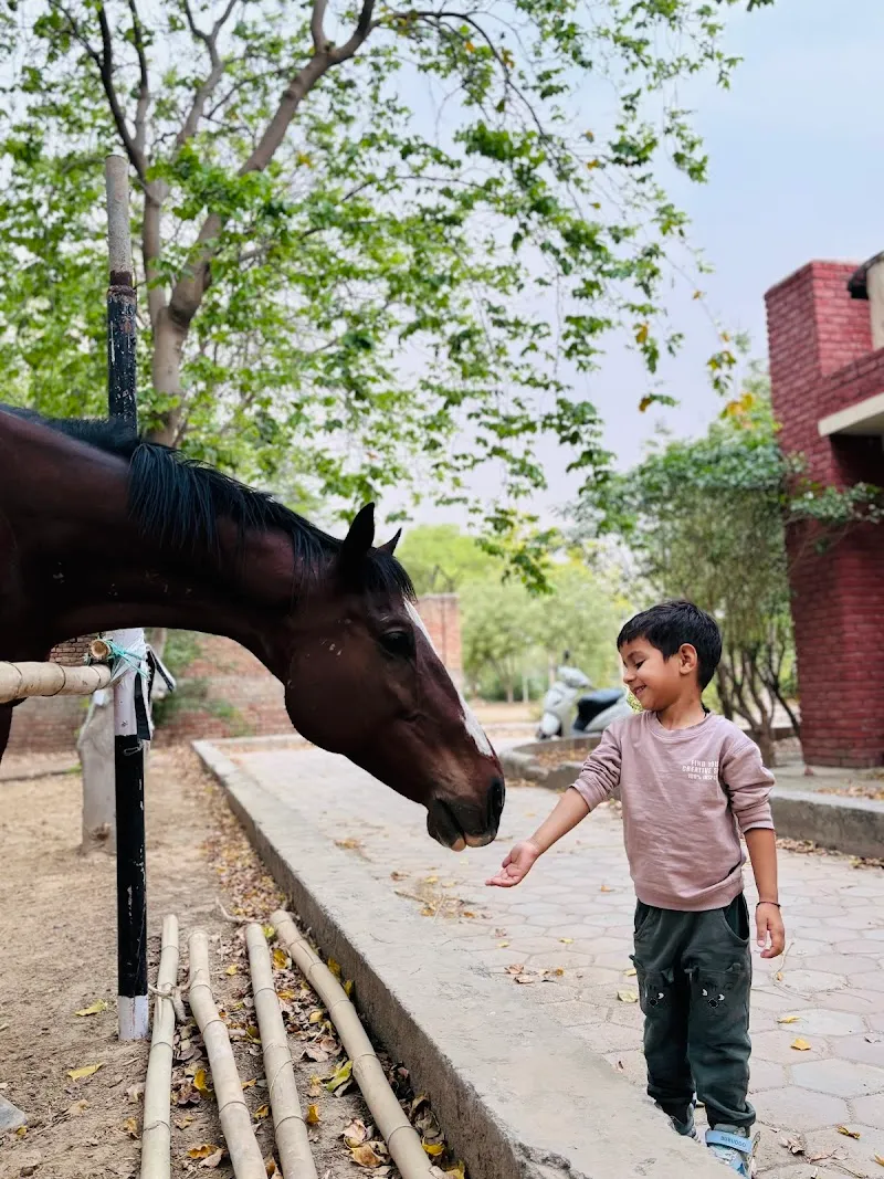 DEV HORSE RIDING STABLES