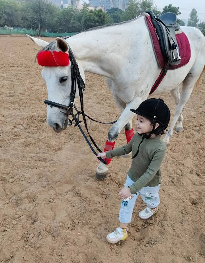 DEV HORSE RIDING STABLES photo 5