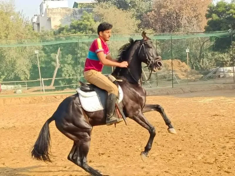 DEV HORSE RIDING STABLES photo 6