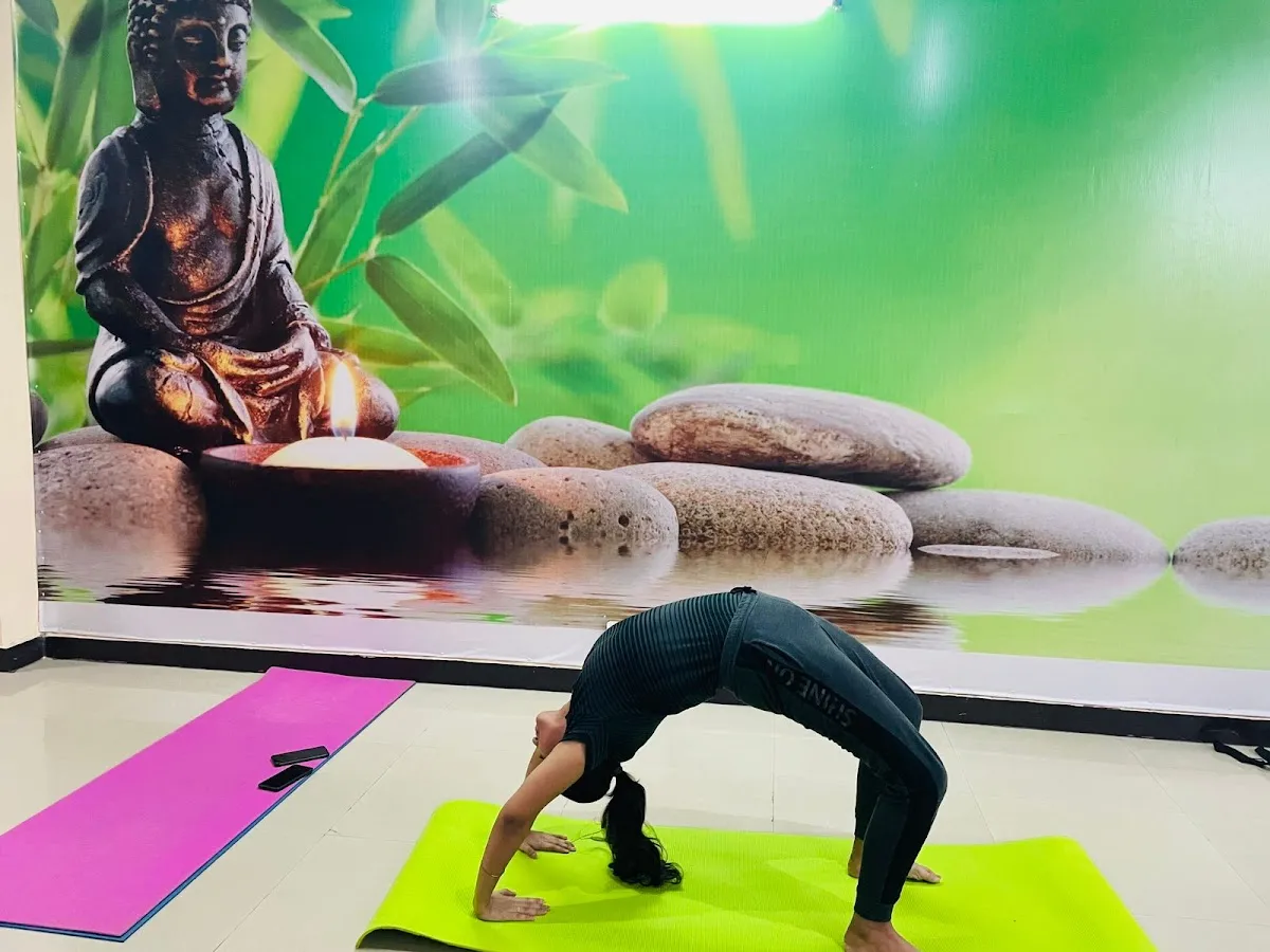 Drishti school of yoga and dance photo 4