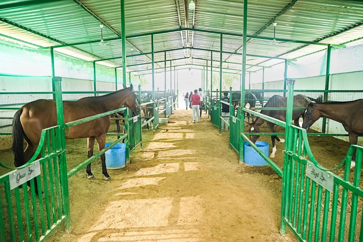 Eden Polo Club photo 4