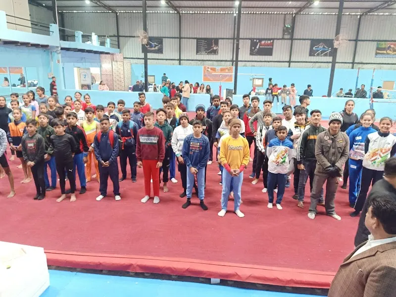 Excellence Gymnastics Private limited