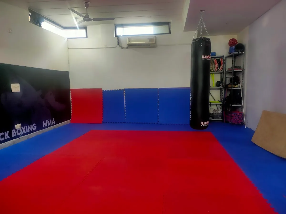 Extreme Martial Art Academy - Taekwondo & KickBoxing photo 3