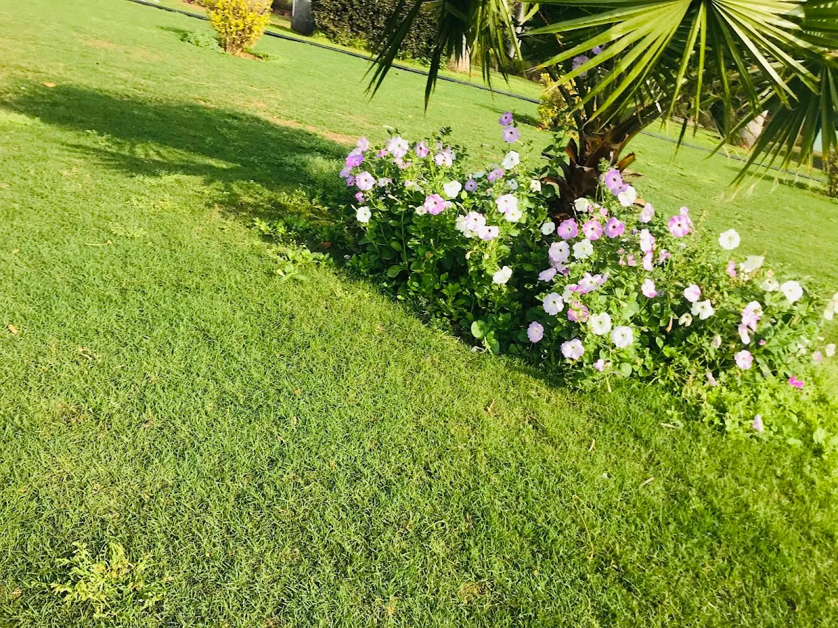 Fitso Flash - Tau Devi Lal Park, Gurugram photo 5