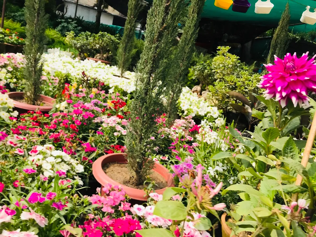 Fitso Flash - Tau Devi Lal Park, Gurugram photo 6