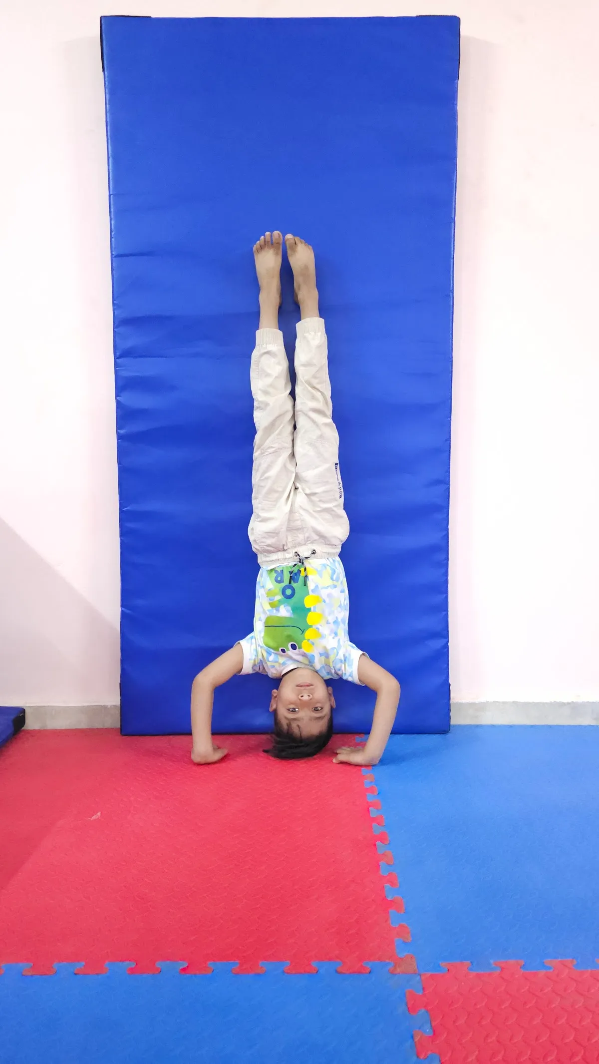 FLYING WINGS GYMNASTICS ACADEMY photo 2