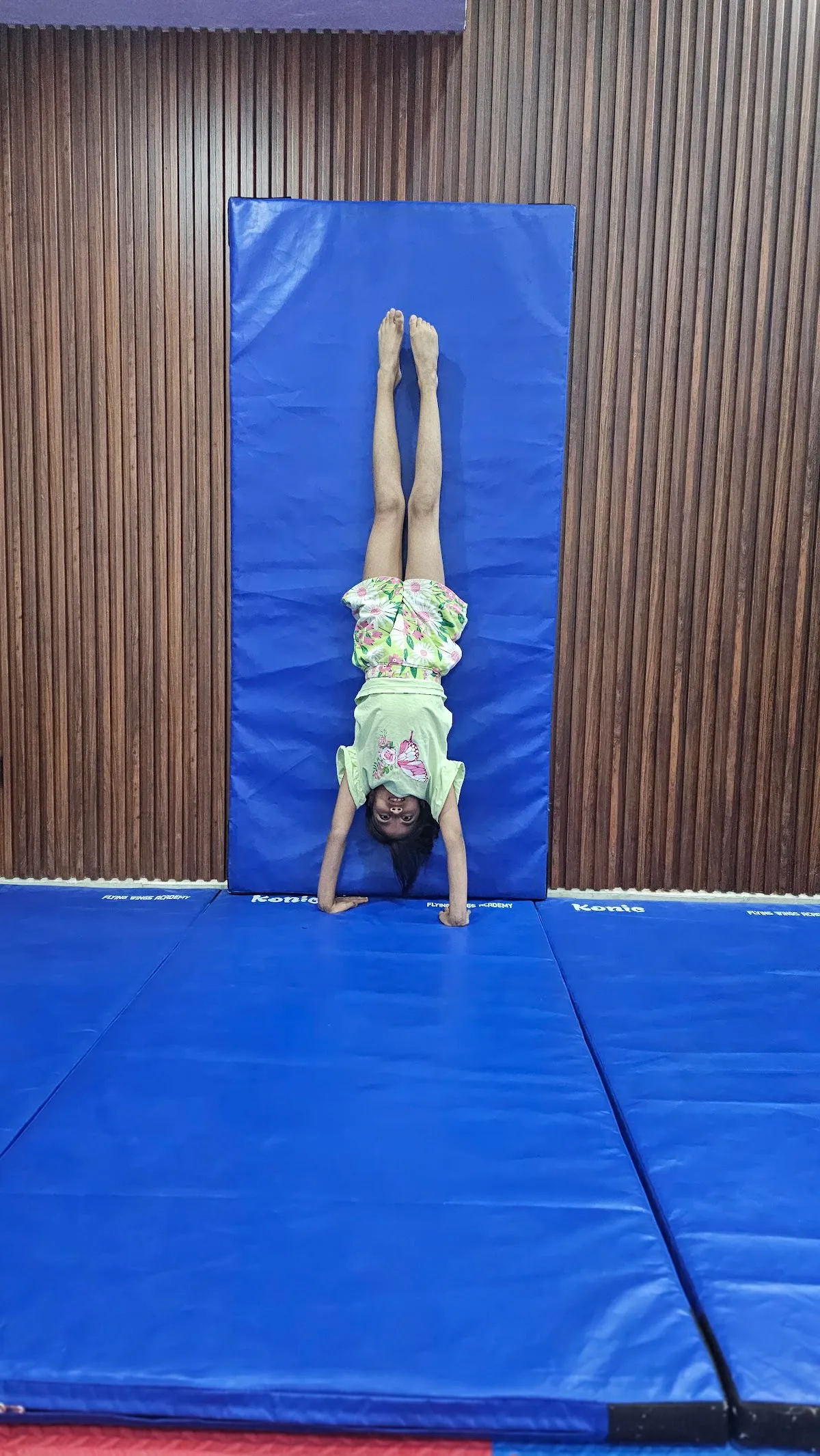 FLYING WINGS GYMNASTICS ACADEMY photo 6