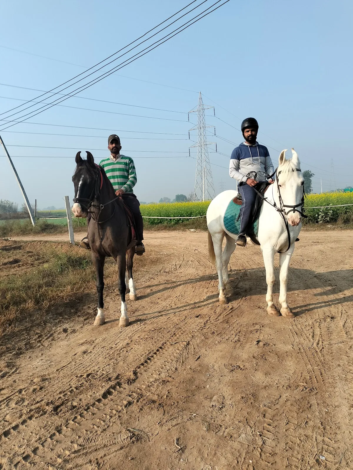Friends Equine Ranch photo 3