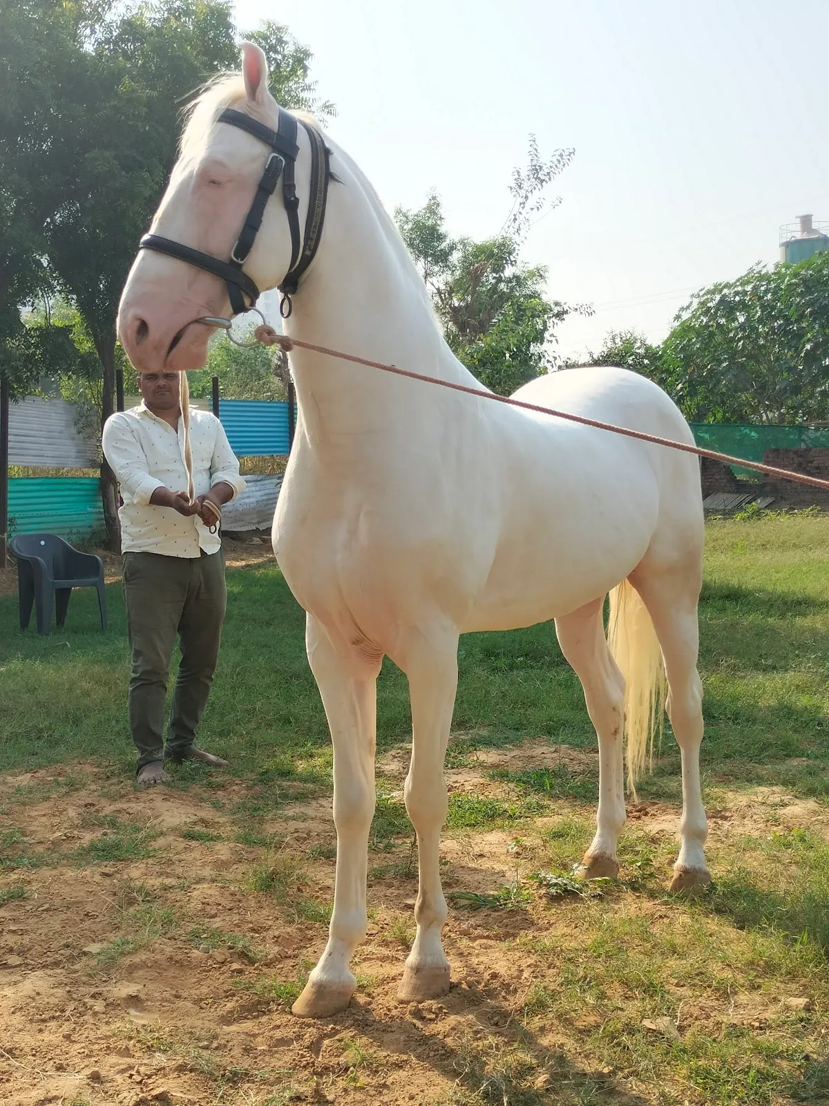 Friends Equine Ranch photo 5