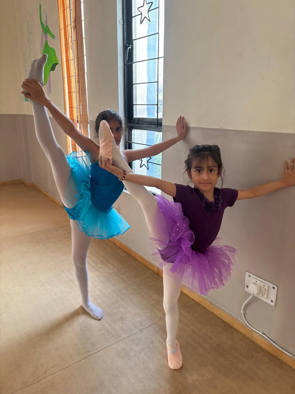 Friends of the Dance photo 2