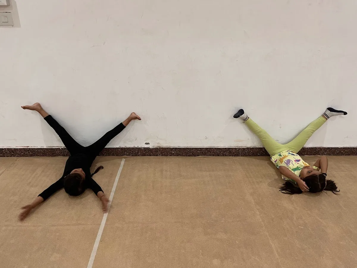 Friends of the Dance photo 3