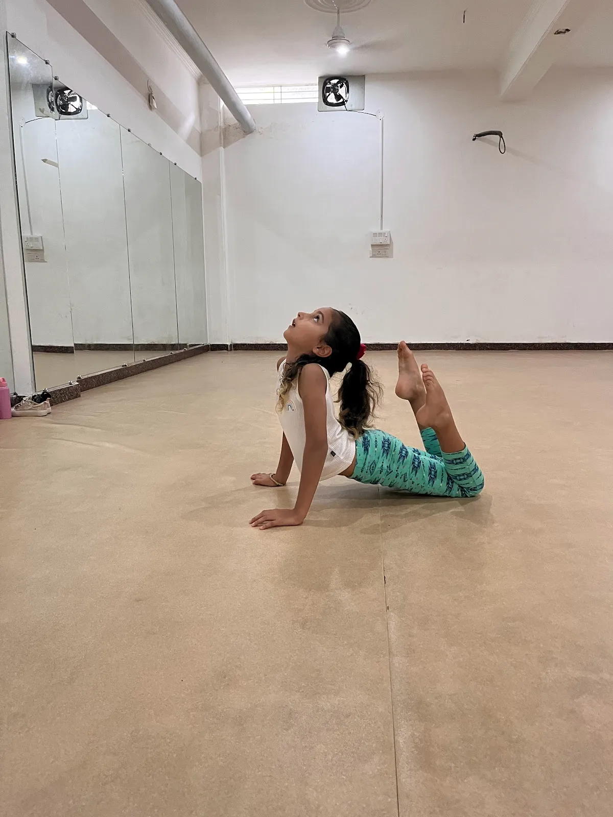 Friends of the Dance photo 6