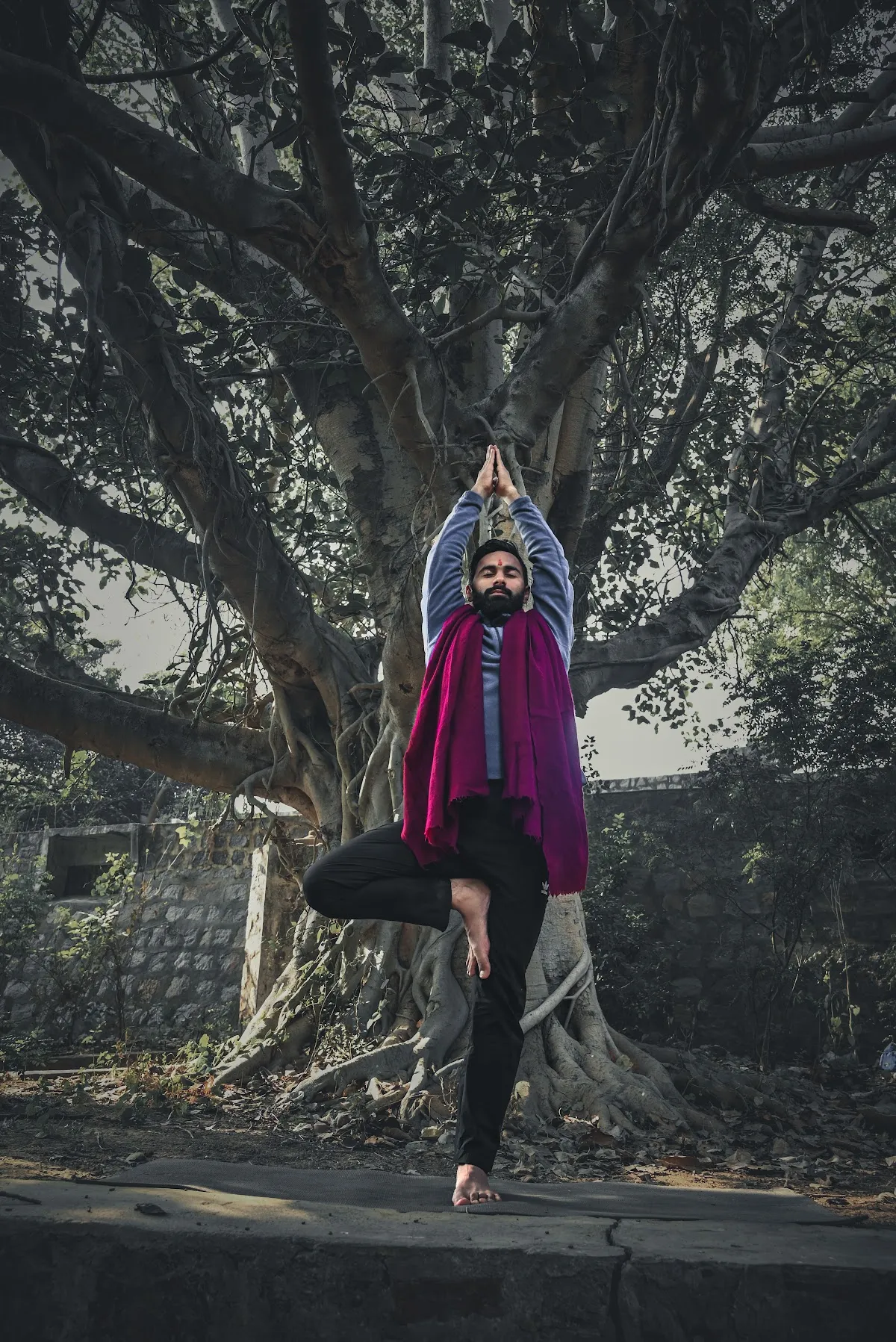 GM Akshay Anand ( Yoga Teacher & Life Coach ) photo 3