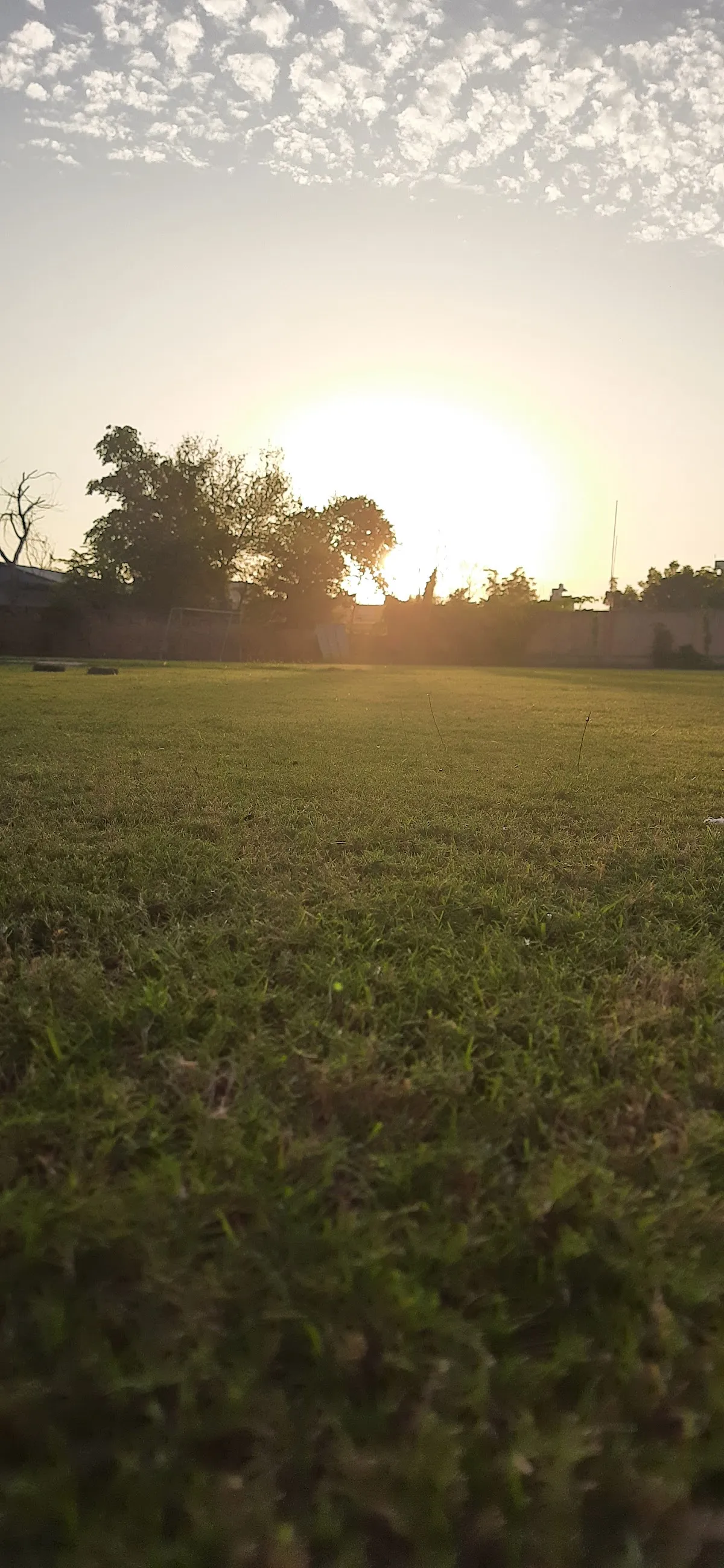 Go Gopal Gowardhan Sports Academy photo 3