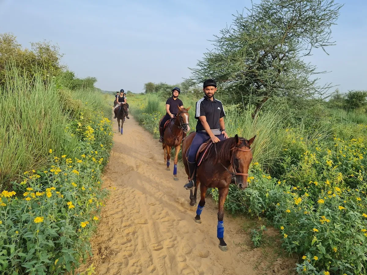 Gurgaon Horse Club photo 2