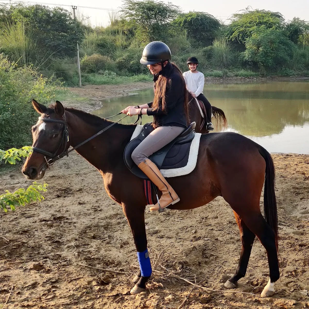 Gurgaon Horse Club photo 3