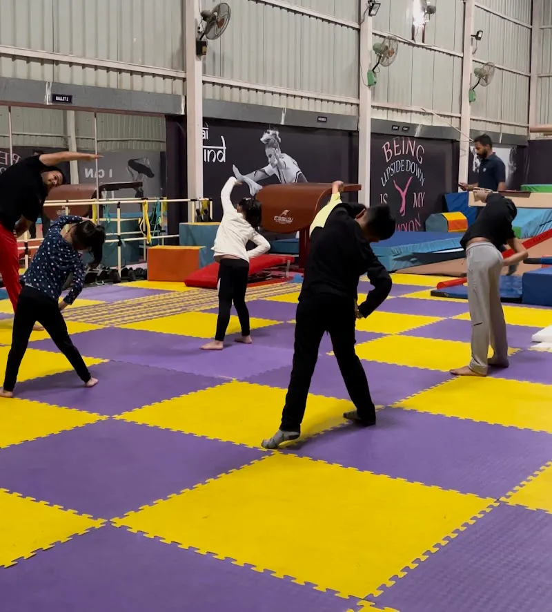 Hi-Flyers Gymnastics