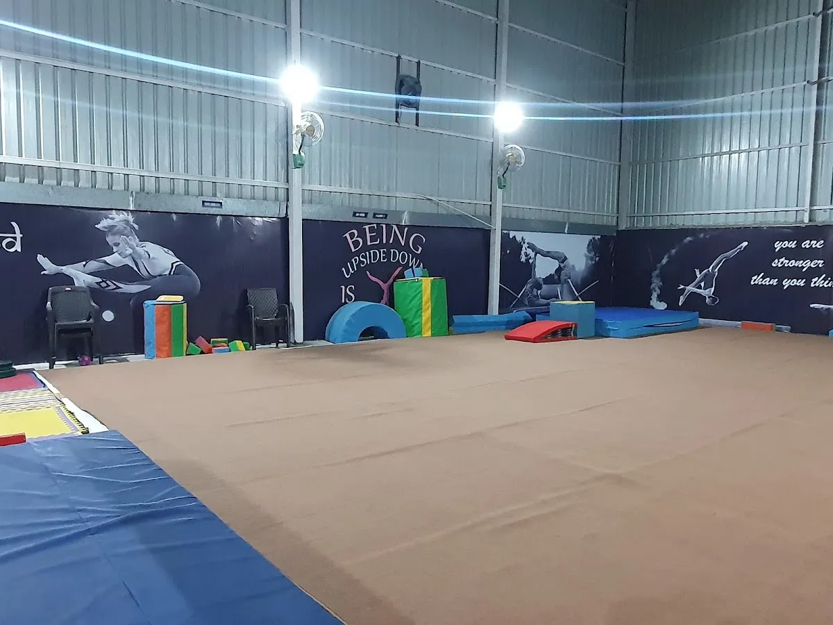 Hi-Flyers Gymnastics photo 3