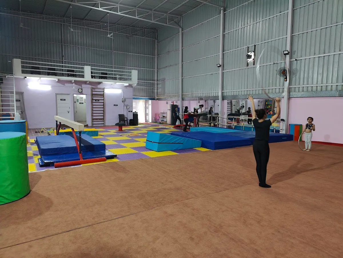 Hi-Flyers Gymnastics photo 6