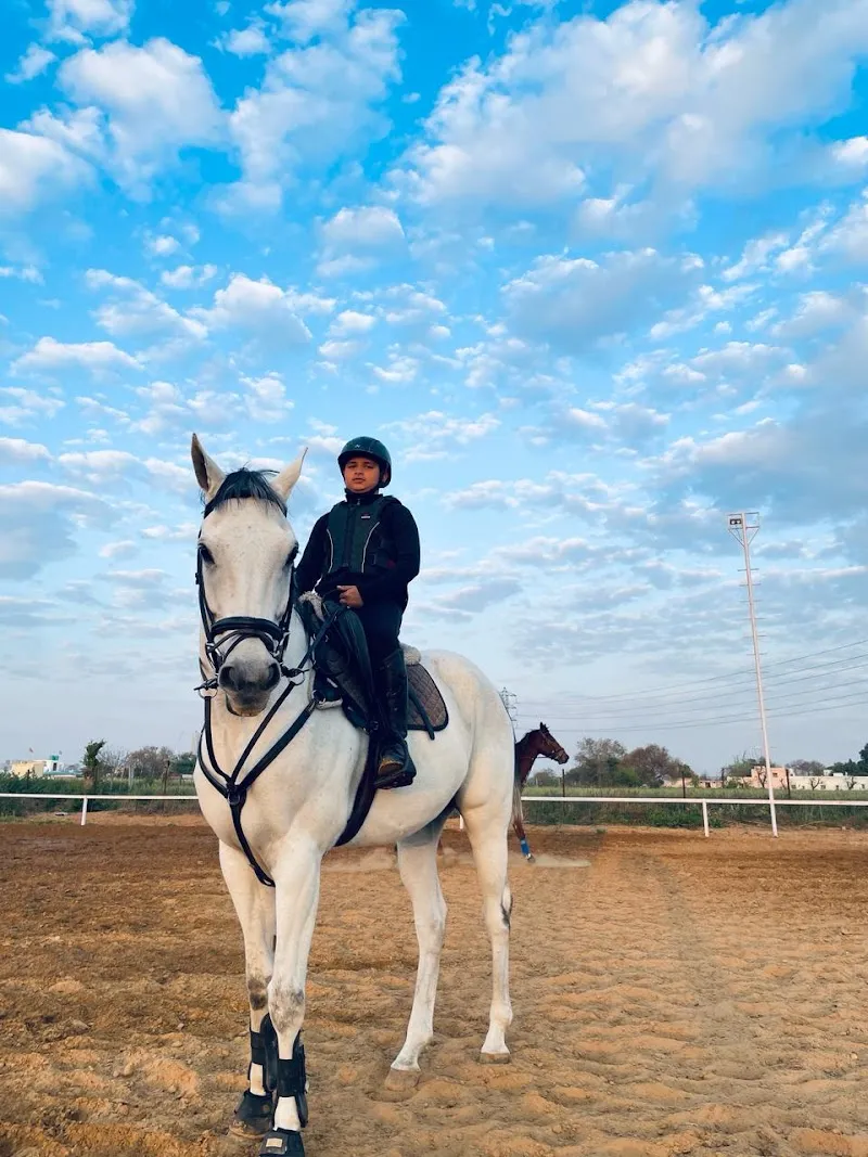 H&Y Equestrian Academy