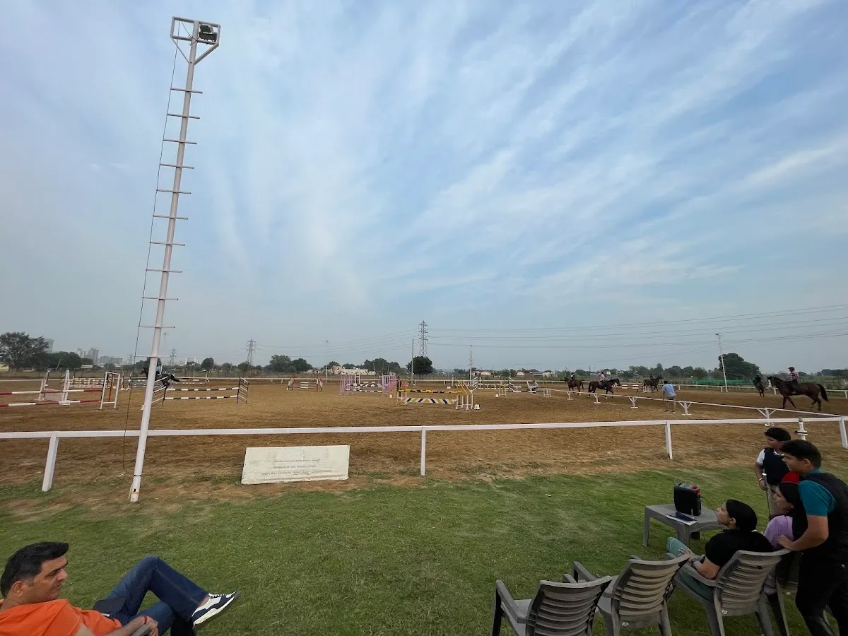 H&Y Equestrian Academy photo 6