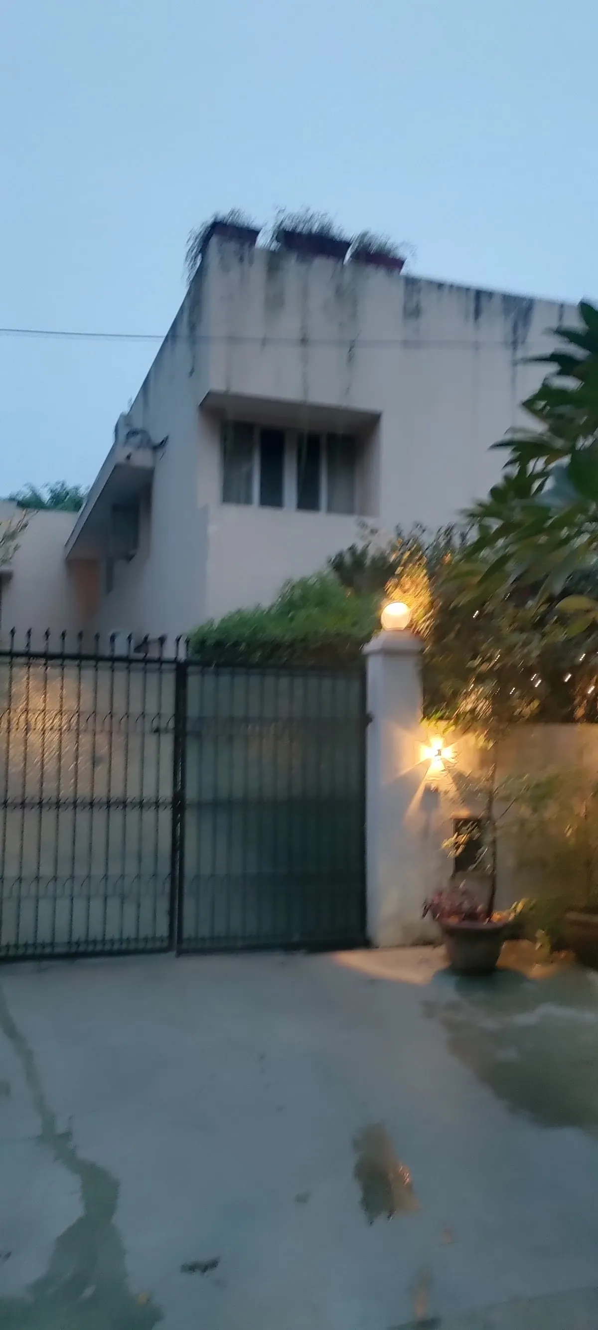 Institute of music dynamics photo 5