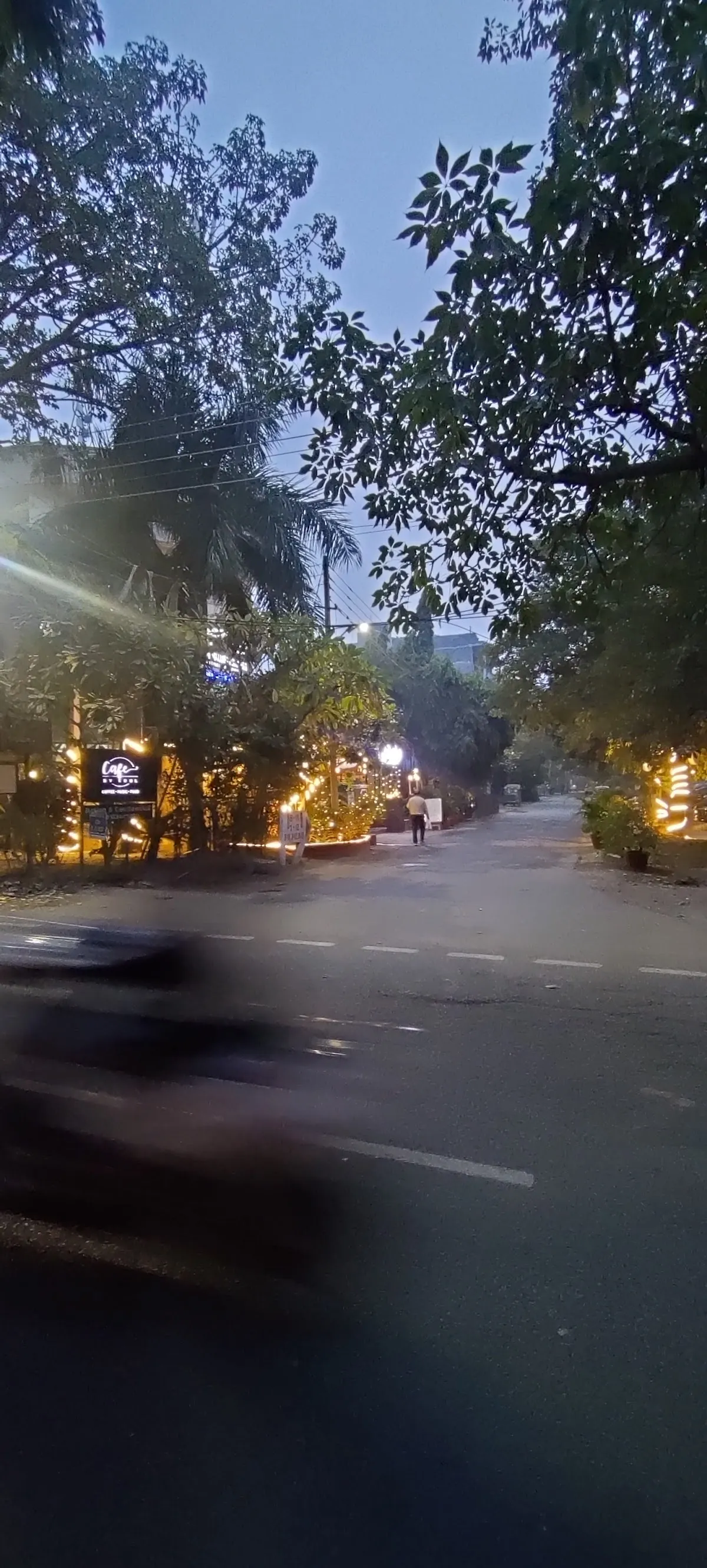 Institute of music dynamics photo 6