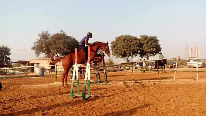 Janak Equestrian Club photo 5