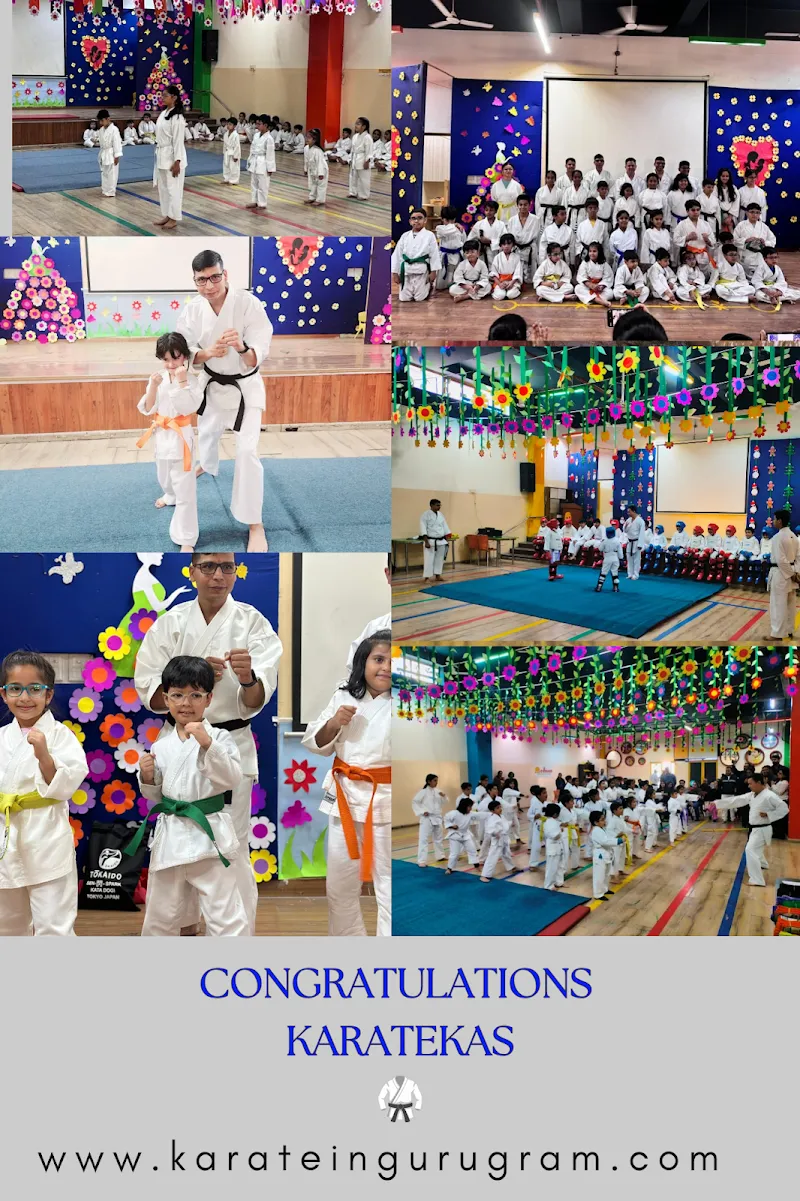 Karate and Kickboxing Class