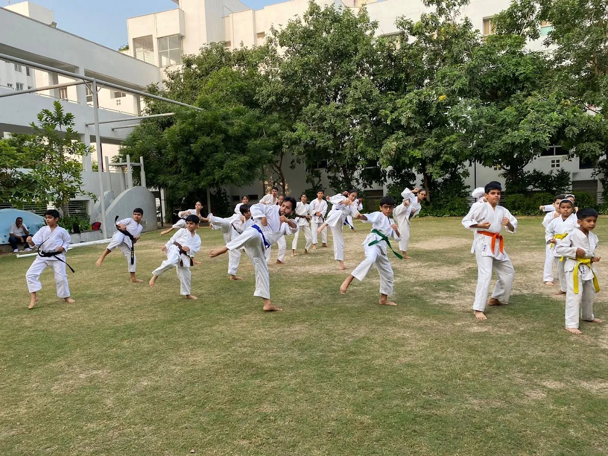 Karate Buddies photo 2