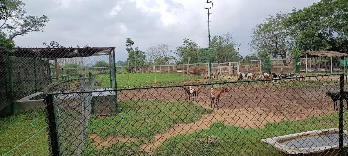 Karma Lakelands Golf Academy photo 5