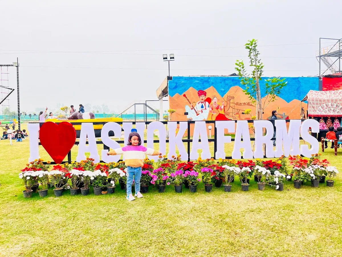 Little feet play school photo 6