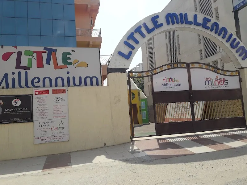 Little Millets
