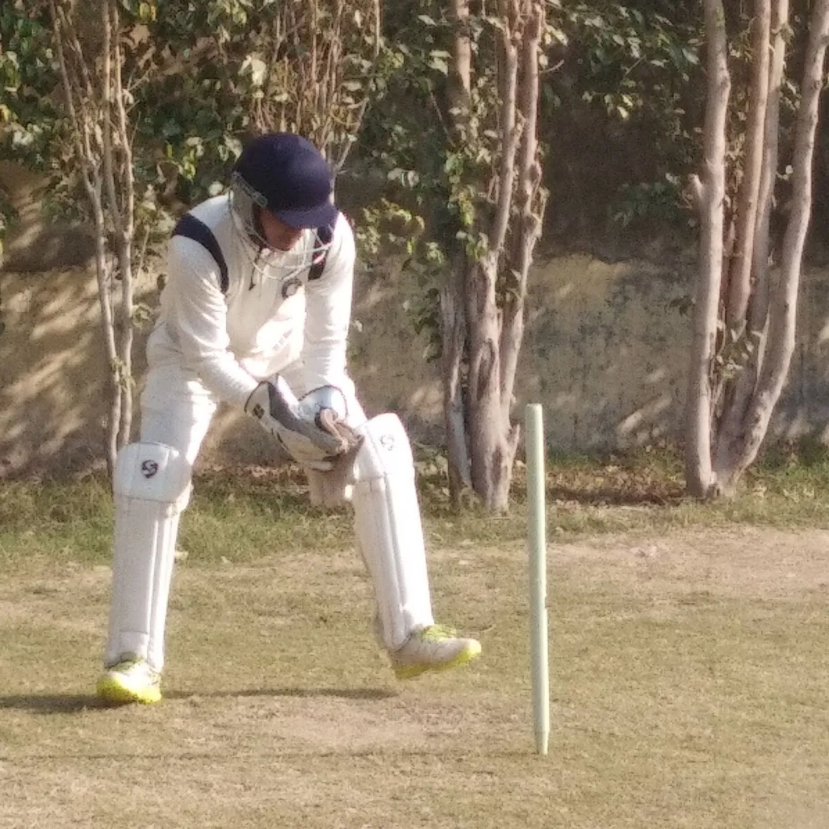 M. T Cricket Academy photo 3