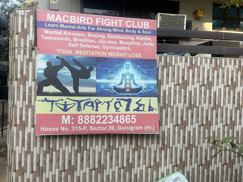 MacBird Fight Club