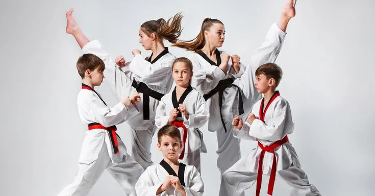 MARTIAL ARTS KICK BOXING TAEKWONDO classes by SUDHIR SINGH photo 4