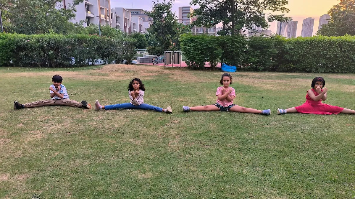 MARTIAL ARTS KICK BOXING TAEKWONDO classes by SUDHIR SINGH photo 5