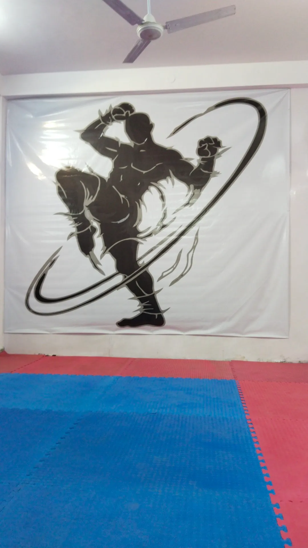 MMA Classes| karate | kickboxing | self defence class |weight loss training |R2F |Grappling photo 4